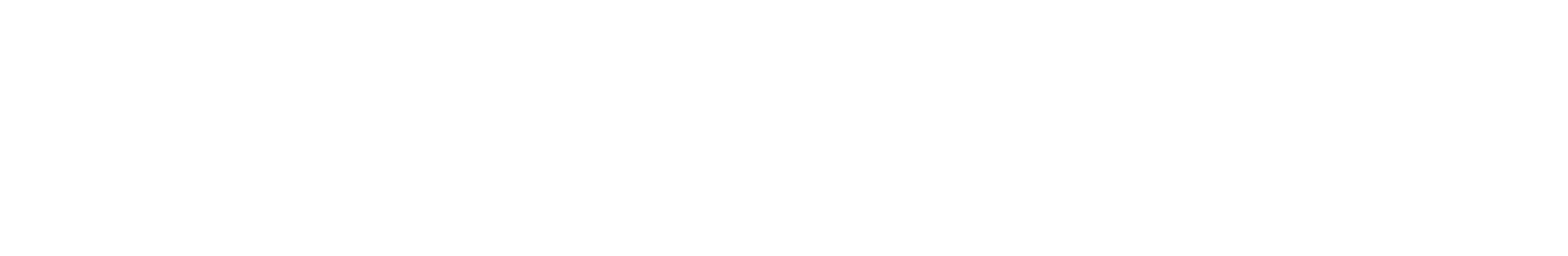 logo_img